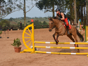 Equipe de hipismo vence II Etapa da Copa Garança