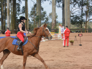 Equipe de hipismo vence II Etapa da Copa Garança